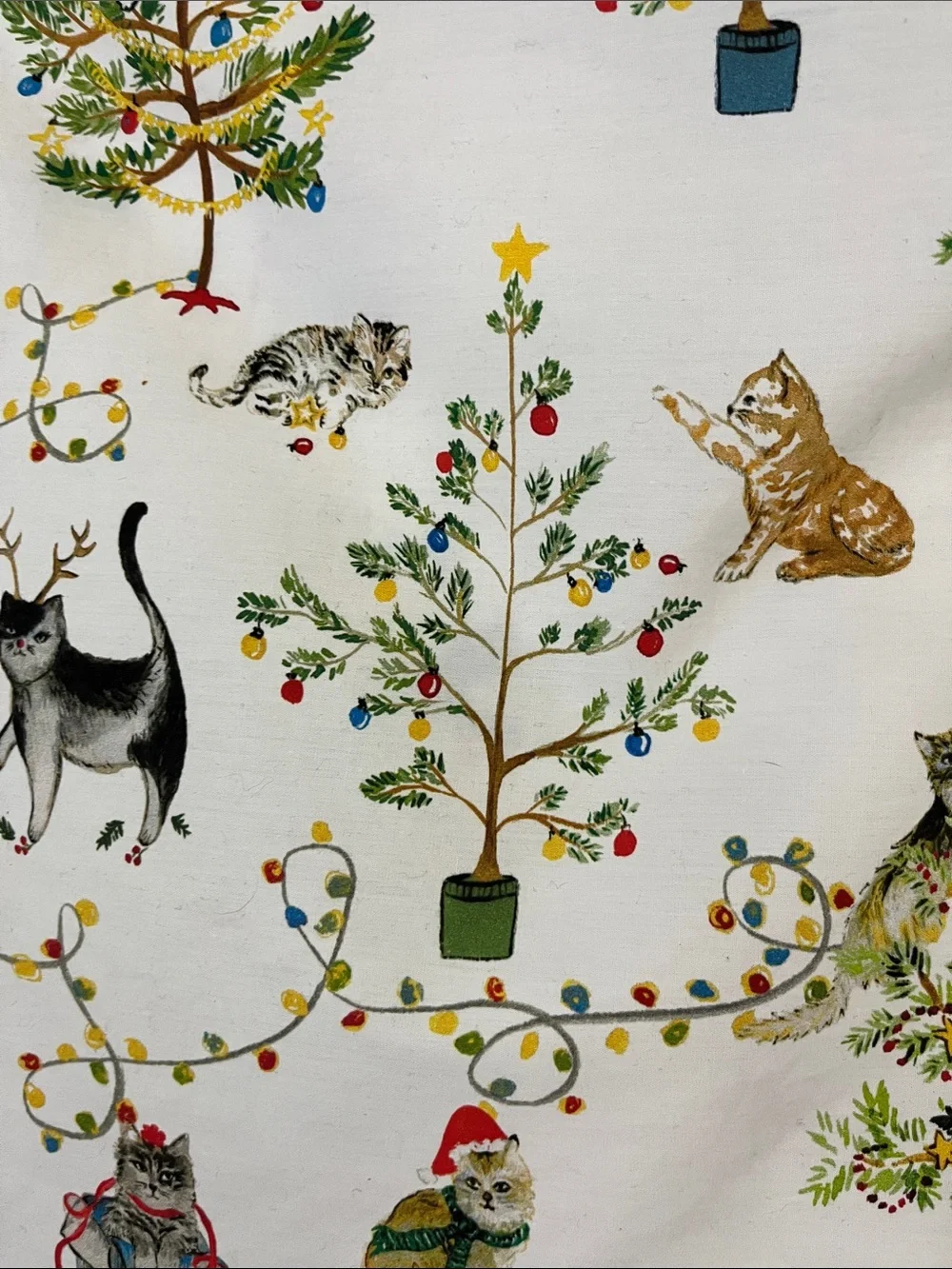 Pottery Barn Holiday Cat & Tree Print 100% organic cotton Queen pillow case sham